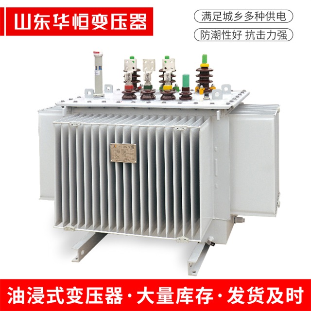 S13-10000/35大理大理大理电力变压器